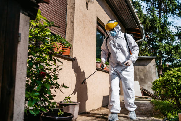 Best Termite Control Services  in Rockfish, NC