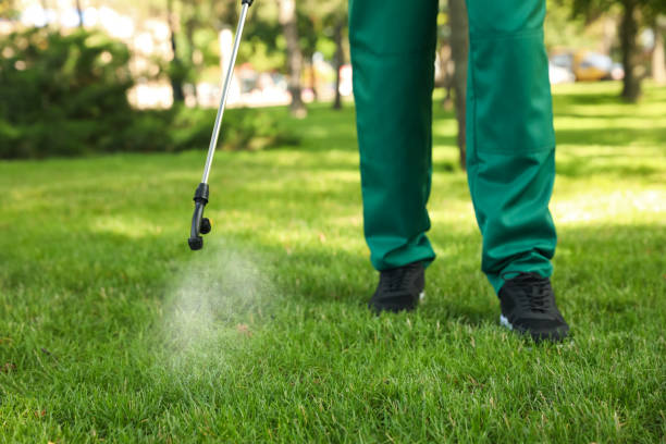 Best Pest Control Near Me  in Rockfish, NC