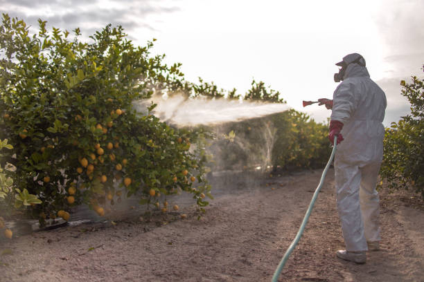 Best Exterminator Services  in Rockfish, NC