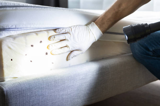 Best Affordable Pest Control Services  in Rockfish, NC