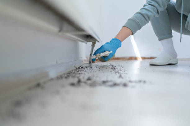 Best Pest Prevention Services  in Rockfish, NC
